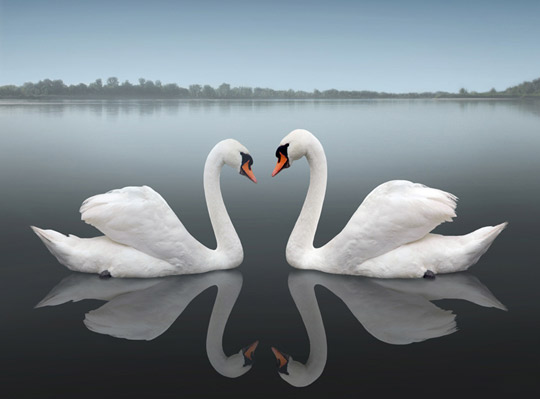 Outstation trip from Lucknow with private car